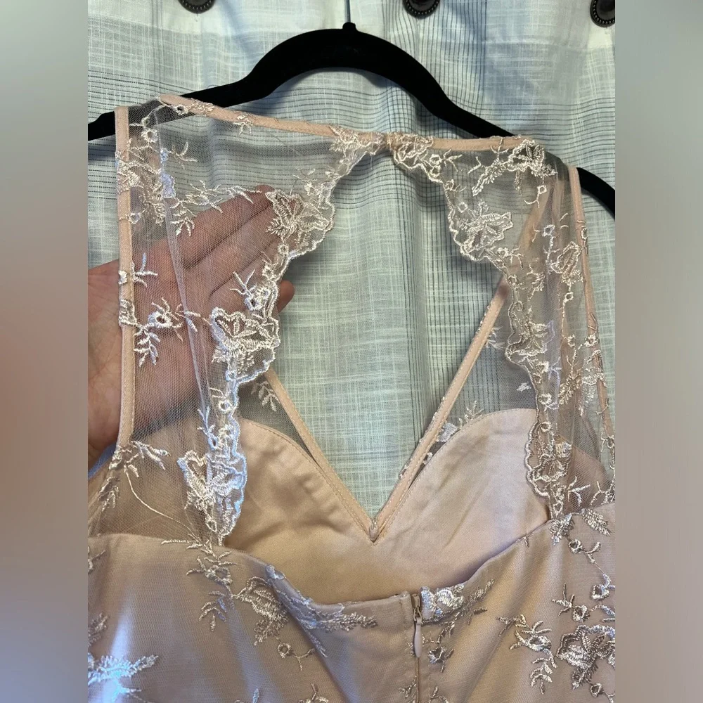 Petals and Pleats Blush Pink Lace Pleated Maxi Dress
Lulus Small Bridesmaid Prom - Picture 14 of 14